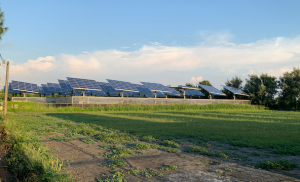 地價稅即將開徵　稅務局提醒：農地種電要免稅須符合三要件